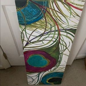 Peacock feathers picture